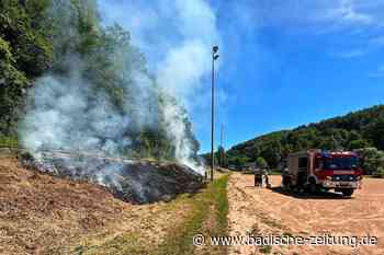 An der Trasse der Kandertalbahn ist es zu einem Flächenbrand gekommen - Kandern - Badische Zeitung