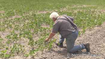 Local farmers say heat is starting to impact crops