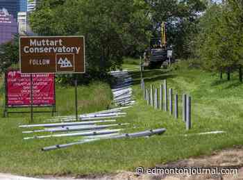 Preparations ramping up ahead of papal visit