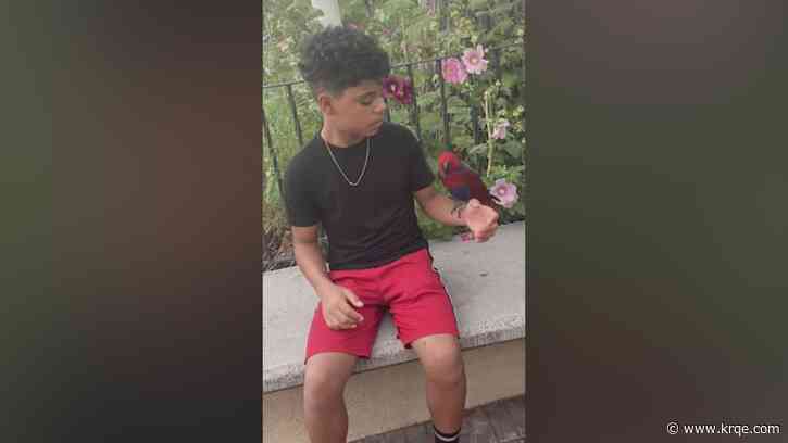 What we know about teen who died in house fire during SWAT standoff