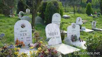 Arriva ad Alba il cimitero degli animali - Il Corriere di Alba, Bra, Langhe e Roero