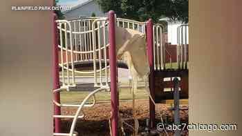 Cumberland Park playground closed due to arson, Plainfield officials say - WLS-TV