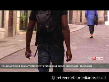 MONTECCHIO MAGGIORE | MOLESTA PERSONE CON LA VERNICE SPRY E FERISCE DUE AGENTI. DENUNCIATO - Rete Veneta