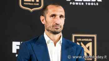 Juventus, Chiellini indica il prossimo acquisto "Sarebbe un'ala fantastica" - CalcioToday.it