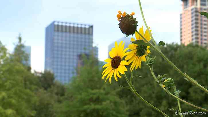 As Austin breaks heat records, one group prepares for the worst