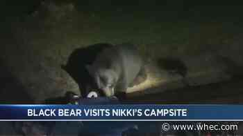 Nikki Rudd meets a bear