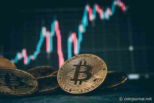 Bitcoin remains above $20k as the crypto market adds 2% to its value