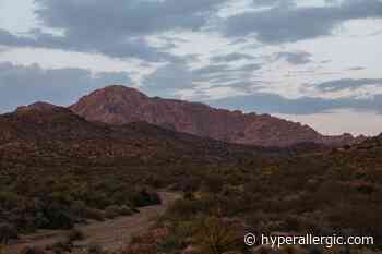 Nevada Artists Join Forces To Get A Mountain Range Labeled A National Monument