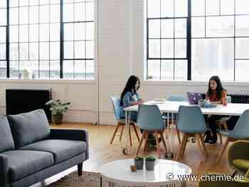 Startups suchen wieder verstärkt nach neuen Mitarbeiterinnen und Mitarbeitern