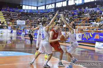 L'ex Vigor Matelica Haris Genjac nelle mire della Cestistica Civitavecchia - Serie C Gold - Basketmarche.it