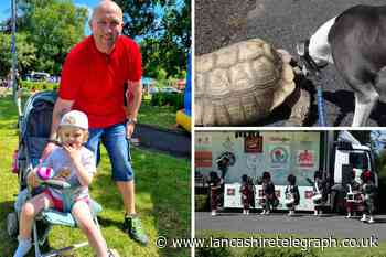 Roe Lee Festival in the park is a huge smash with families