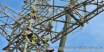 Neue Stromleitung soll Versorgung auch im Raum Hildesheim absichern - www.hildesheimer-allgemeine.de