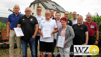 Teammeldungen: Fußball-Kreis Peine ist landesweit Nummer 2 - Wolfenbütteler Zeitung