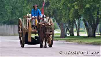 Averaging 10 miles a day, Canadian crosses Minnesota in an oxcart