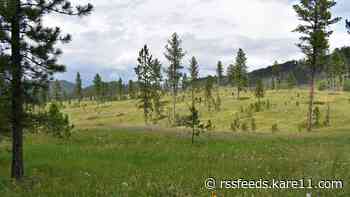 Preliminary approval given for Black Hills drilling
