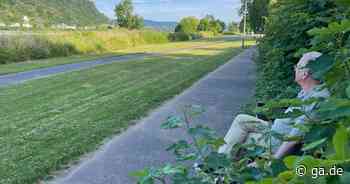 Wege und Bänke zugewachsen: Stadt Bonn entfernt täglich Grünüberwuchs - General-Anzeiger Bonn