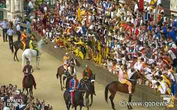 Palio di Siena, il cavallo della Chiocciola sta bene - gonews