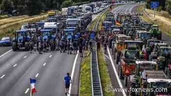 Dutch farmers form 'freedom convoys' to protest government's strict environmental rules