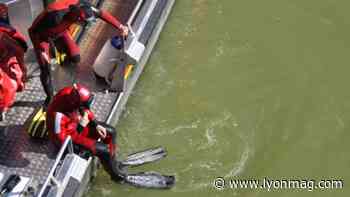 Près de Lyon : un pêcheur découvre le cadavre d'une femme dans la Saône - Lyon Mag