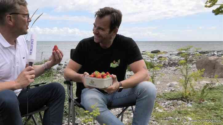 Mit Kaminski auf Fehmarn: Wie Robert Dahl ein ungewöhnliches Erdbeer-Imperium erschaffen hat