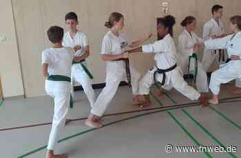 Übungsstunde mit Meisterin - Fränkische Nachrichten