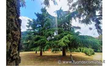 Segrate: intitolato il giardino di via Schuster alla memoria di Vittorio e Dario Martino - Fuoridalcomune.it