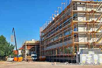 Der Neubau der Gemeinschaftsschule in Rust wächst und wächst - Rust - Badische Zeitung