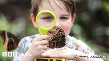 Nature's true value overlooked in decision making - IPBES