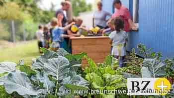 Wendeburger Landfrauen gärtnern mit Kindergartenkindern