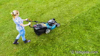 Sono un esperto di giardinaggio e probabilmente stai falciando troppo il prato: la mia "regola del terzo" risolverà il problema - Tebigeek