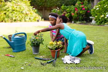 Erba tagliata del prato, come si può riutilizzare? - ambiente.iltabloid.it