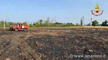 Incendio a Prato: a fuoco 21mila metri quadri di sterpaglie - LA NAZIONE