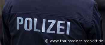 Fehlgeschlagener Fluchtversuch: Hausschwein hält Beamte und Besitzer auf Trab - Traunsteiner Tagblatt