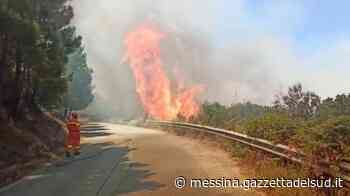 Messina, incendi a Curcuraci, Salice e Ortoliuzzo - Gazzetta del Sud - Edizione Messina