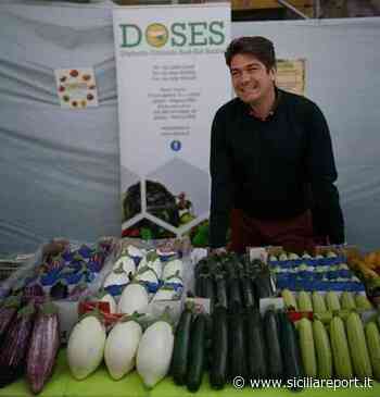 Finanziamento di un milione e mezzo per cento aziende agricole del DOSES - siciliareport.it