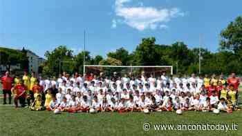 La Nuova Folgore fa cento: numeri importanti per il campus della società dorica - AnconaToday