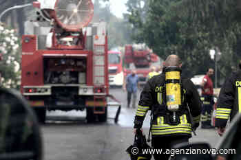 Coldiretti: incendi in aumento del 153 per cento in Italia - Agenzia Nova