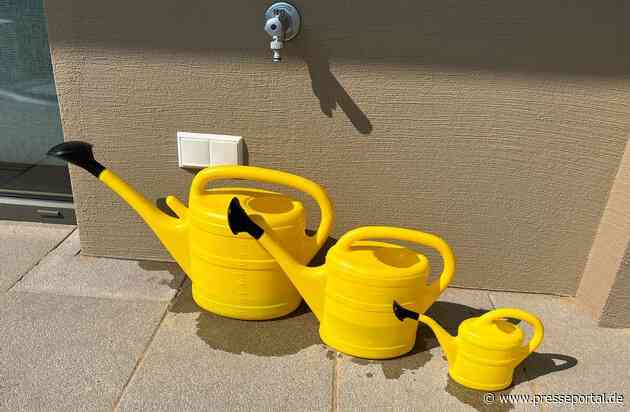 Wassersparende Pflanzenpflege bei Hitze: Mit diesen Tipps den Sommergarten mit gutem Gewissen genießen