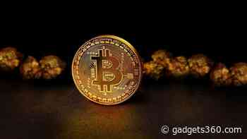 Bitcoin Stays Afloat Amid Bleak Cryptocurrency Winter, Buoyed by ‘Whales’ and ‘Shrimps’
