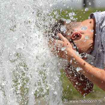 Wann hohe Temperaturen zur Gefahr werden - Radio Bonn / Rhein-Sieg - radiobonn.de