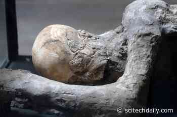 Scientists Have Sequenced the DNA of a 2000-Year-Old Human From Pompeii