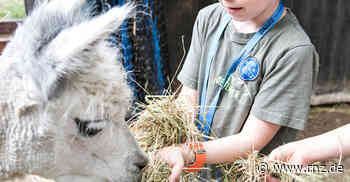Heidelberg: Das ist das Sommerferien-Programm für Kinder im Zoo - Rhein-Neckar Zeitung