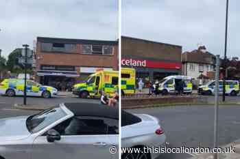 Hayes High Street Bromley: Riot police as man threatens harm