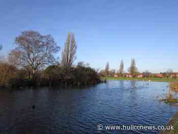 Hull City Council statement: Travellers on Pickering Park - Hull CC News