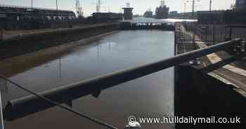 The Deep issue statement after Hull cruise terminal U-turn - Hull Live