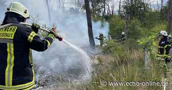 Brand in Waldgebiet an der A67 bei Pfungstadt - Echo Online