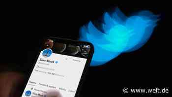 Twitter-Anwälte sicher – Musks Rückzieher von Kaufvertrag ist ungültig