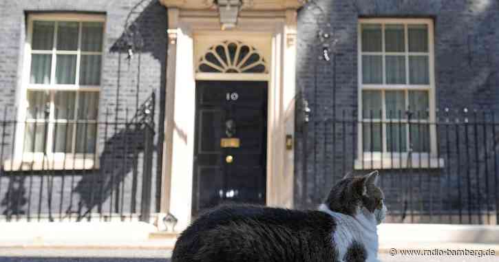 Rennen um Johnson-Nachfolge gestartet – Grabenkämpfe drohen