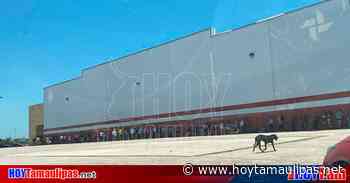 Comienza venta de boletos para Palenque de Expomex en Nuevo Laredo - Hoy Tamaulipas