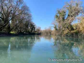 Pescara, via tronchi e rami pericolosi dal fiume - Abruzzo Cityrumors